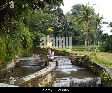 L'acqua di irrigazione l'Subaks di Tampak Siring, mostrando garbage mettete intorno ai canali di irrigazione. Tampaksiring è creduto Foto Stock