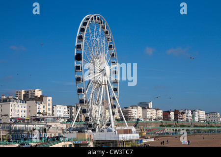 Ruota di Brighton una grande ruota panoramica Ferris accanto alla spiaggia e mare Foto Stock