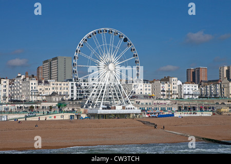 Ruota di Brighton una grande ruota panoramica Ferris accanto alla spiaggia e mare Foto Stock