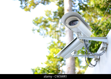 Videocamera di sicurezza sul recinto accanto alla giungla Foto Stock