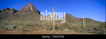 Vista panoramica di primavera nel picco Picachio stato parco nord di Tucson, Arizona Foto Stock