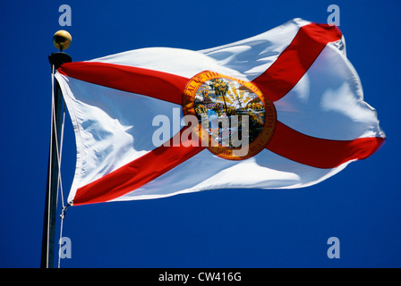 Questo stato bandiera sventolare nel vento. Sul pennone contro il cielo blu. Esso ha la croce rossa contro uno sfondo bianco con guarnizione di tenuta circolare Foto Stock