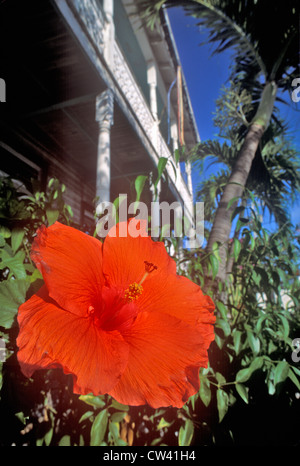 La Ernest Hemingway Home and Museum, Key West, Florida Foto Stock