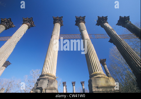 Rovine di Windsor sono le rovine più grande antebellum Revival Greco residenza costruita in uno stato USA Mississippi Claiborne County Mississippi Foto Stock