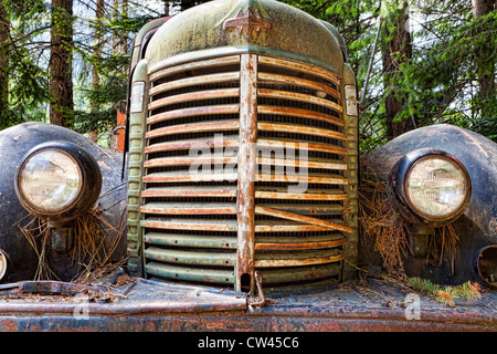 Stati Uniti d'America, nello Stato di Washington, Stehekin, vecchio arrugginito carrello Foto Stock
