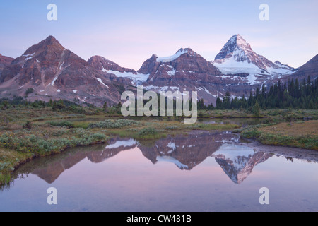 In Canada, il Monte Assiniboine Parco Provinciale, Magog prati, Monte Assiniboine riflessione in tarn al tramonto Foto Stock