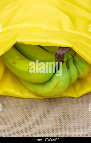 La maturazione delle banane in un sacchetto di banana su hessian Foto Stock