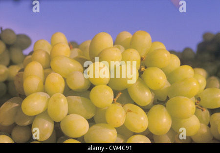 Close up di uva verde ad una frutta stand in bianco Pigeon, NY Foto Stock