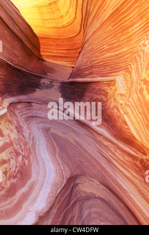 In prossimità delle strisce di pietra arenaria, "l'Onda' su Kenab Coyote Butte, BLM, Slot Canyon, UT Foto Stock