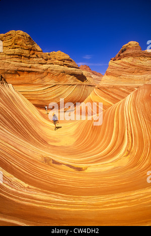 In prossimità delle strisce di pietra arenaria, "l'Onda' su Kenab Coyote Butte, BLM, Slot Canyon, UT Foto Stock