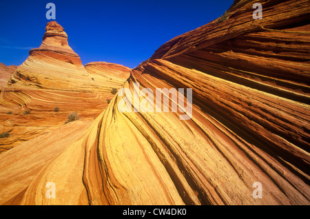 In prossimità delle strisce di pietra arenaria, "l'Onda' su Kenab Coyote Butte, BLM, Slot Canyon, UT Foto Stock