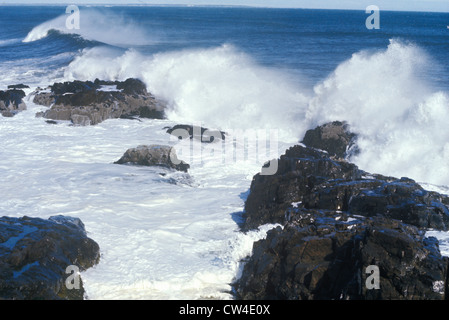 Costa atlantica, Maine Foto Stock