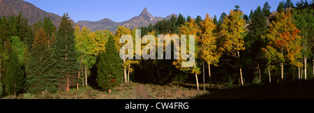 Montagna pilota, Orso dente autostrada, Wyoming Foto Stock