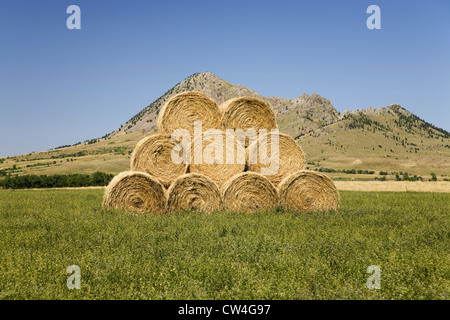 Bails fieno impilati lungo la US 34, al di fuori del Sud Dakota Foto Stock