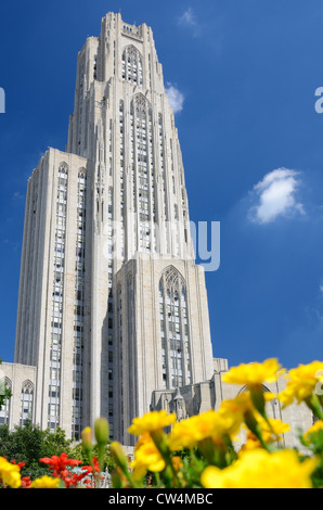 Cattedrale di apprendimento presso la University of Pittsburgh, nel quartiere di Oakland di Pittsburgh, in Pennsylvania. Foto Stock