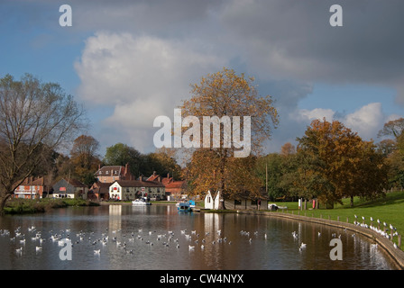 Autunno a Coltishall accanto al Comune e il fiume Bure in Norfolk Broads, con fauna selvatica nelle vicinanze. Foto Stock
