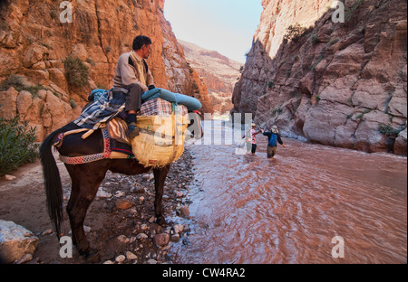 Trekking attraverso il M'Goun Gorges del sud montagne Atlas, Marocco Foto Stock