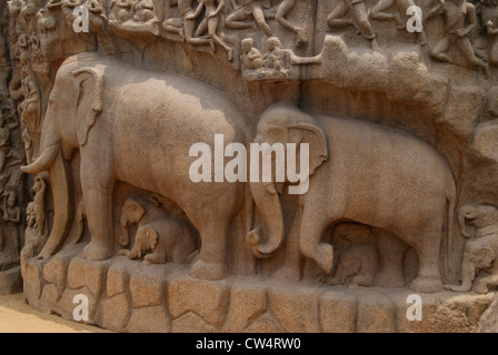 Sculture di elefante ad Arjuna la penitenza in Mahabalipuram India.Elefante scultura scolpita in granito.sito Patrimonio Mondiale dell'UNESCO Foto Stock