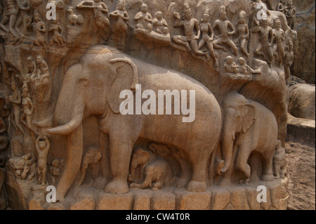 Scultura di elefante scolpito in granito ad Arjuna la penitenza in Mahabalipuram India Foto Stock