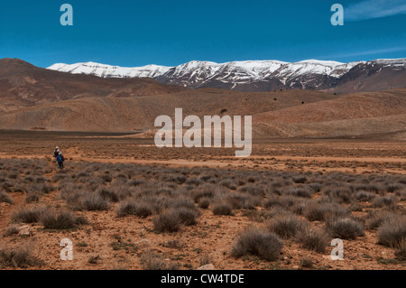 Trekking nel sud montagne Atlas, Marocco Foto Stock