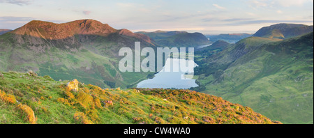 Vista panoramica di alta rupe, alto stile, Buttermere e Whiteless Pike su una bella mattina d'estate nel distretto del Lago Foto Stock