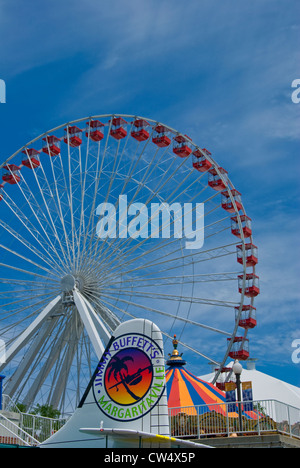 Ruota panoramica Ferris e Jimmy Buffett il Margaritaville ristorante presso il Navy Pier di Chicago, Illinois Foto Stock