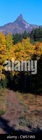 Aspens e recare il dente in montagna pilota, Wyoming Foto Stock