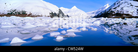 Iceberg nel lago di Portage e Portage Glacier, Alaska Foto Stock
