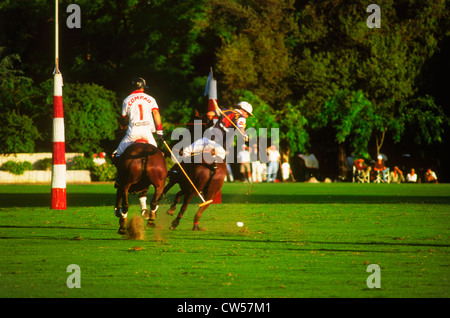 Giocatori di polo in azione a Campo de Polo in Buenos Aires, Argentina Foto Stock