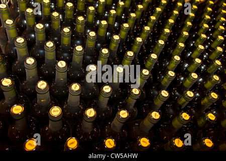 Le bottiglie di vino schierate per imballaggio in cantina, Haro, La Rioja, Spagna, Europa. Foto Stock