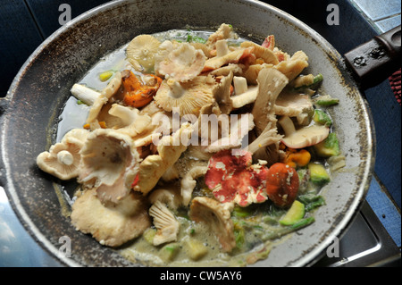 Saltate in padella di funghi selvatici curry stile settentrionale( keang hed pa) , colorato di funghi selvatici ,Chiang Rai, Thailandia del Nord Foto Stock