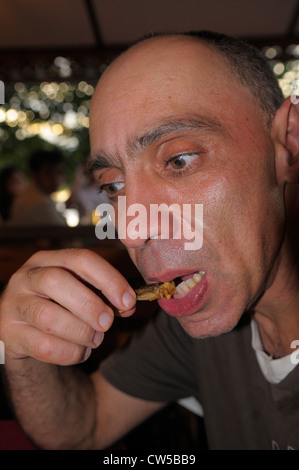 Mangiare fritte acqua bugs , strano e bizzarro cibo tailandese , Chiang Rai, Thailandia del Nord Foto Stock