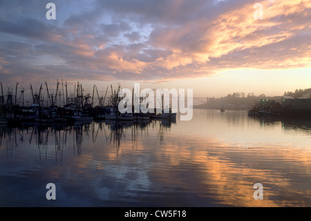 Barche ormeggiate in porto, Newport, Oregon, Stati Uniti d'America Foto Stock