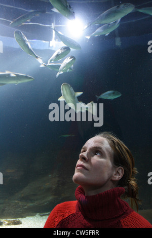 Giovane donna la visione di pesce in acquario su Sylt Foto Stock