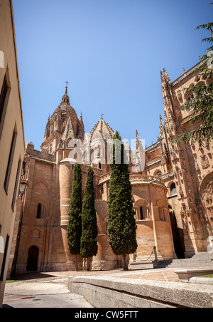 Splendida vista della cattedrale edificio in Salamanca, Spagna, Europa. Foto Stock