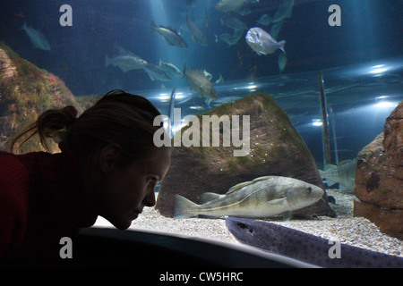Giovane donna la visione di pesce in acquario su Sylt Foto Stock