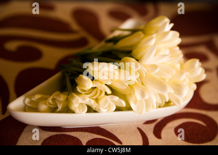 Fiori per aromaterapia in un vassoio, Papeete, Tahiti, Polinesia Francese Foto Stock