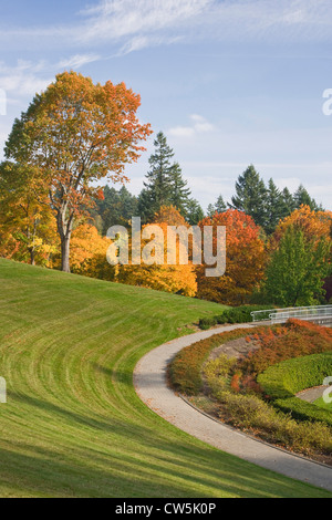 Alberi in un giardino, Hoyt Arboretum, Oregon, Stati Uniti d'America Foto Stock