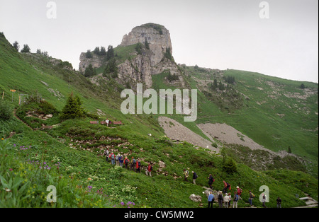 La Svizzera. I visitatori del Alpengarden, giardini alpini a Schynige Platte sopra Interlaken nell Oberland Bernese. Luglio 2012 Foto Stock