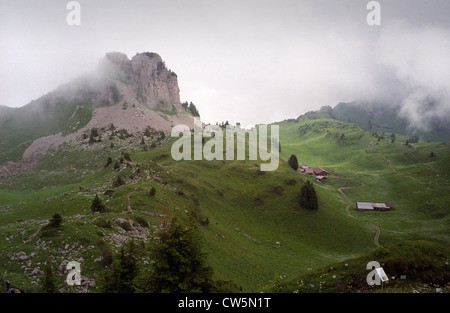 La Svizzera. I visitatori del Alpengarden, giardini alpini a Schynige Platte sopra Interlaken nell Oberland Bernese. Luglio 2012 Foto Stock