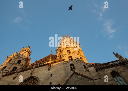 La cattedrale di Santo Stefano a Vienna Foto Stock