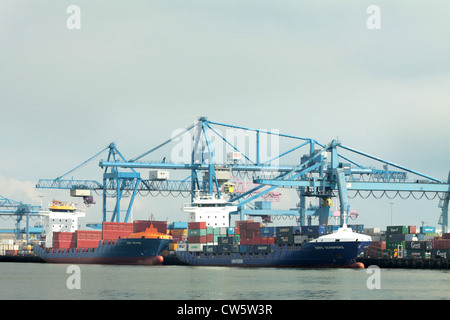 Navi portacontainer accanto al porto di Rotterdam Foto Stock