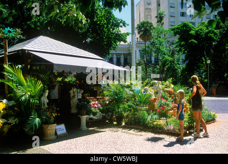 Negozio di fiori a Largo do Machado Square creato nel 1843 con la prima chiesa di Nostra Signora della gloria a Rio de Janeiro in Brasile Foto Stock