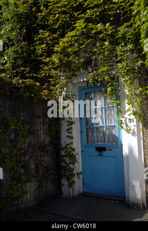 Giardino sul retro di Londra con una porta blu Foto Stock