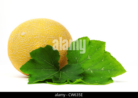 Melone Galia isolato su bianco Foto Stock