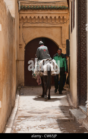 Passaggio stretto nell'antica medina di Fes, Marocco Foto Stock