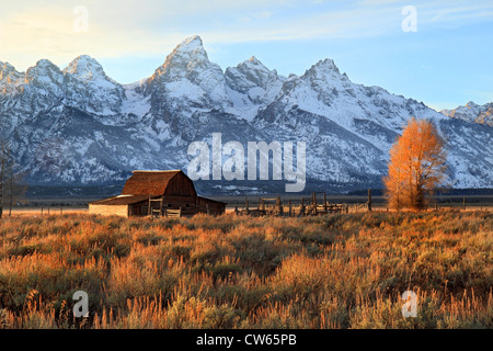 Fienile iconico in Grand Teton National Park Foto Stock