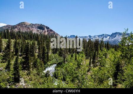 Mammoth Creek dove fluisce fuori dei Laghi Gemelli sopra la città di Mammoth Lakes in California Foto Stock