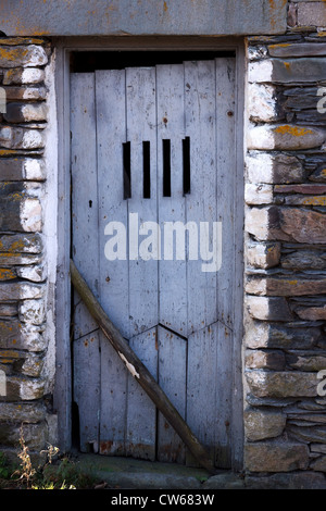Il vecchio colore blu pallido verniciato di colore grigio a liquido porta in legno nella vecchia fattoria di ardesia edificio, Colwith, Lake District, Cumbria, England, Regno Unito Foto Stock