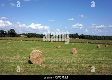 Balle rotonde, cieli blu, North Yorkshire Foto Stock